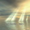Acoustic Trio