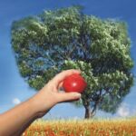 Urząd Marszałkowski Województwo Małopolskie - banner Małopolska Nasz Region